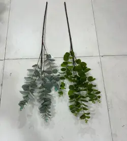 شاخه تزیینی اکالیپتوس