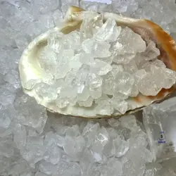 کریستال دل نمک دانه درشت شوسلر