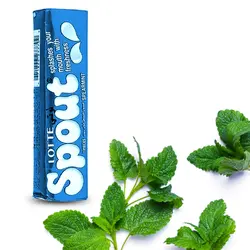 آدامس لوته مدل اسپوت عسلی با طعم نعناع تند - بازرگانی رحیمی