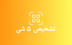 تشخیص 5 شی