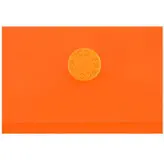 پوشه دکمه دار پاپکو مدل 101M بسته 2 عددی