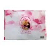 پوشه دکمه دار پاپکو مدل خرس های نوازنده کد P-111