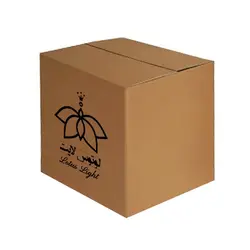 آباژور رومیزی لوتوس لایت مدل نادیا 2 شکلاتی