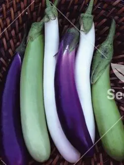 بذر بادمجان میکس - Eggplant