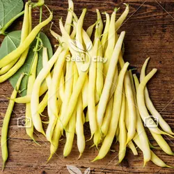 بذر  لوبیا غلاف زرد - Bean