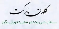 دسر دو لایه وانیل با سس کارامل نمکی دنون کد3388