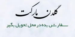 نوشیدنی کاسنی پاد شیراز 300سی کد2890