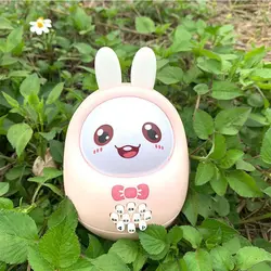 خرگوش موزیکال