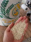 سرلاشه طارم معطر خالص محلی فریدونکنار