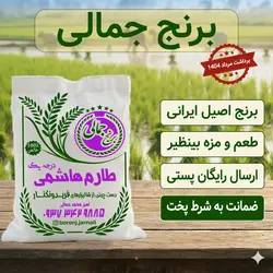 برنج طارم هاشمی اصیل و محلی فریدون کنار کشت اول برنج جمالی