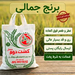 برنج کشت دوم معطر و محلی فریدون کنار برنج جمالی