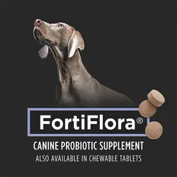 پودر مکمل پروبیوتیک سگ Purina Pro Plan FortiFlora