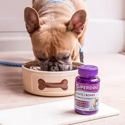 قرص مکمل سگ Vitabiotics Superdog Joints and Bones بسته 60 عددی
