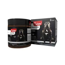 پودر مکمل سگ Biofeline Robust XXL Powder وزن 500 میلی لیتر