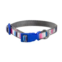 قلاده گردنی چند رنگ بدون لید NinaPet سایز 2