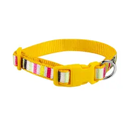 قلاده گردنی چند رنگ بدون لید NinaPet سایز 2