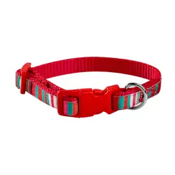 قلاده گردنی چند رنگ بدون لید NinaPet سایز 2