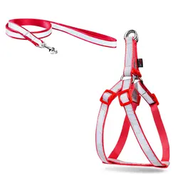 قلاده کتفی شبرنگ همراه با لید NinaPet سایز 1