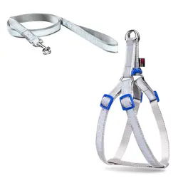 قلاده کتفی شبرنگ همراه با لید NinaPet سایز 1