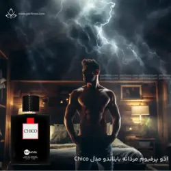 ادو پرفیوم مردانه بایلندو مدل چیکو chico