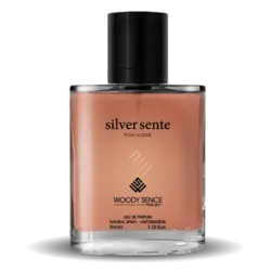 عطر جیبی مردانه وودی سنس مدل سیلور سنت Silver Sente