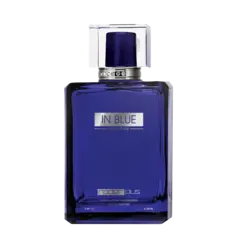 ادو پرفیوم مردانه رودیر پلاس مدل In Blue