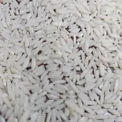 برنج طارم دورود میرزاخان - 10 کیلو گرمی