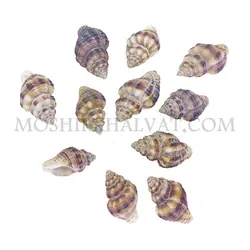 صدف چرمی - خرازی آنلاین مشیرخلوت