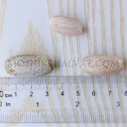 صدف پسته ای بزرگ - خرازی آنلاین مشیرخلوت