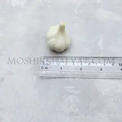 سیر درشت فومی - خرازی آنلاین مشیرخلوت