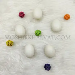 تخم مرغ پلاستیکی - خرازی آنلاین مشیرخلوت