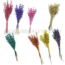 گل خشک مدل برنجی - خرازی آنلاین مشیرخلوت