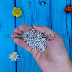 شن عربی - خرازی آنلاین مشیرخلوت