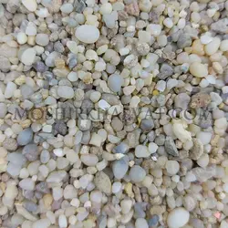شن عربی - خرازی آنلاین مشیرخلوت