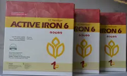 کود آهن اکتیو ایرون 6 ACTIVE IRON