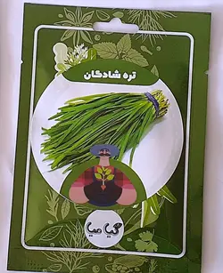 بذر تره شادگان