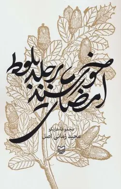 امضای خورشید بر جلد بلوط (مجموعه هایکو)