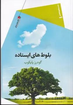 بلوط های ایستاده