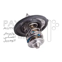 ترموستات النترا اصلی هیوندای