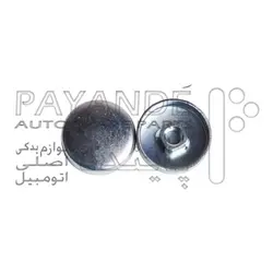 پولک آب پاژرو 2007 آب بزرگ