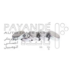 پولک آب پاژرو 2007 آب بزرگ