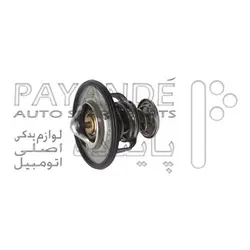 ترموستات گالانت 93 ژاپنی-76.5 درجه