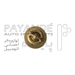 ترموستات گالانت