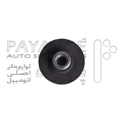 قاب پاژرو 2007 روی لچکی عقب_پولک