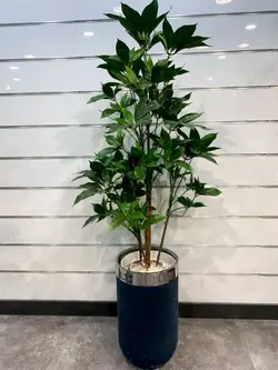 درختچه مصنوعی پاچیرا کد 5067 - هزاره سبز