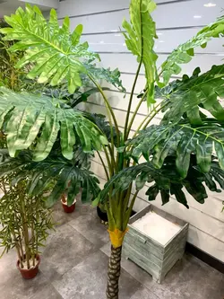 درختچه مصنوعی فیلندرون برگ انجیری کد 5020 - هزاره سبز