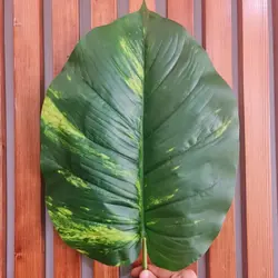 برگ مصنوعی مدل قلبی بزرگ کد 6233 - هزاره سبز