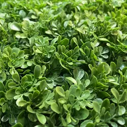 گرین وال مصنوعی مدل گلپر کد 1044 - هزاره سبز