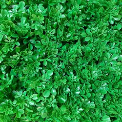 گرین وال مصنوعی مدل گلپر کد 1044 - هزاره سبز