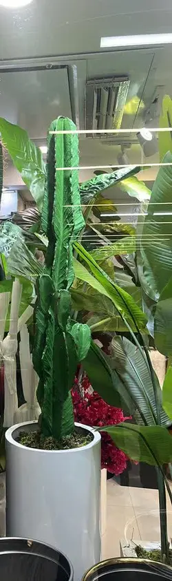 درختچه مصنوعی کاکتوس سبز روشن کد 5801 - هزاره سبز